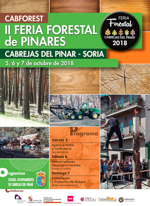 Cartel Segunda Feria forestal